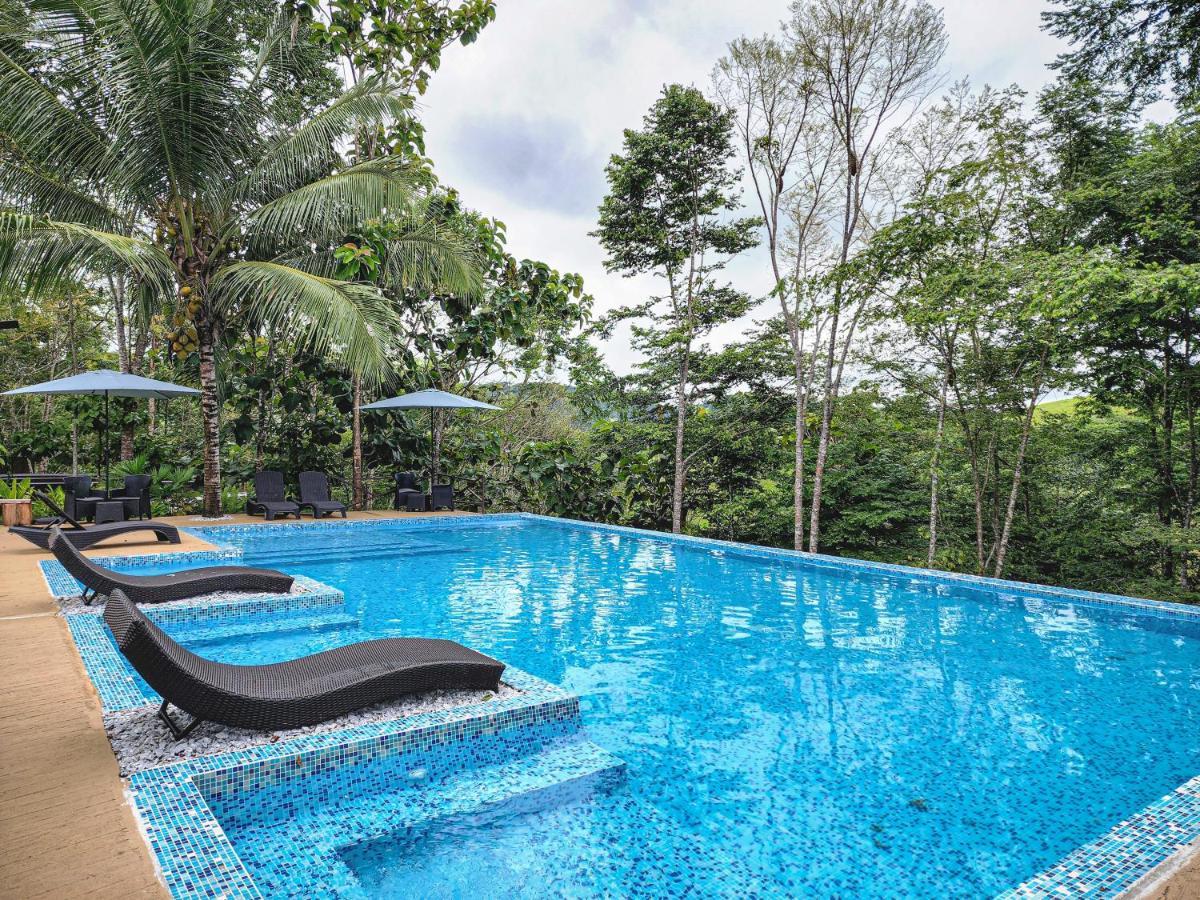 Hotel Madeira Boutique Doradal المظهر الخارجي الصورة