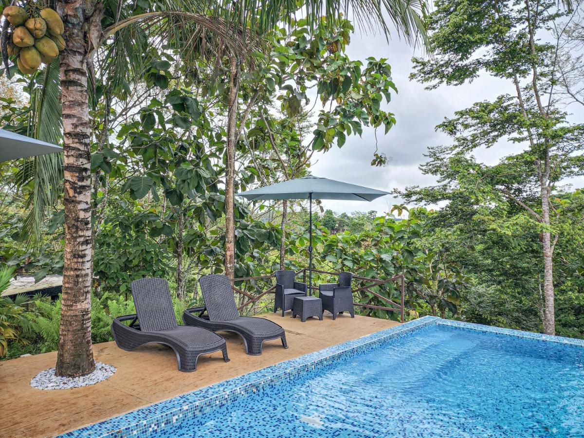 Hotel Madeira Boutique Doradal المظهر الخارجي الصورة